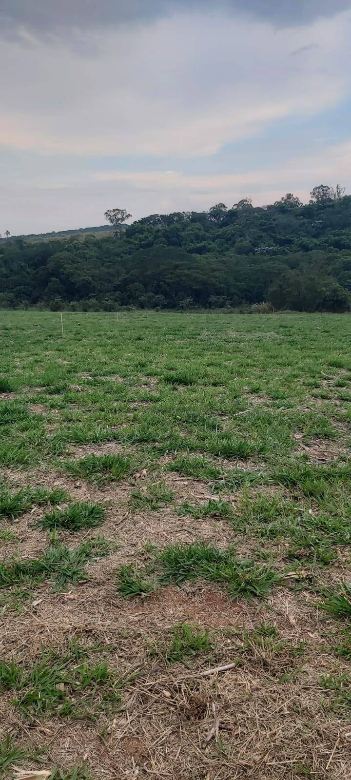 #708 - Área para Venda em Jarinu - SP