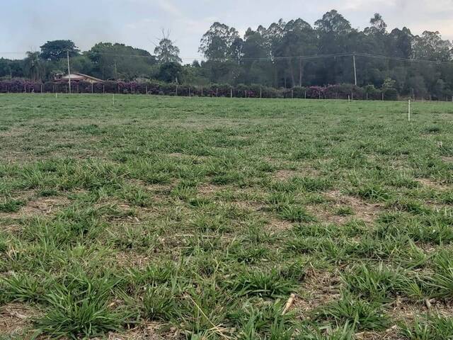 #708 - Área para Venda em Jarinu - SP