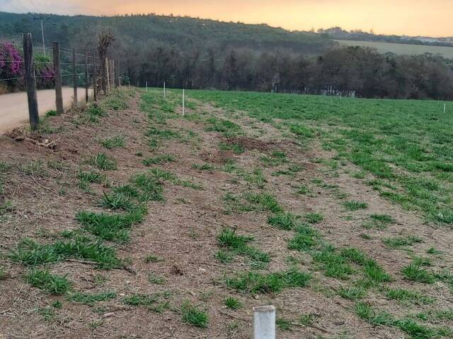 #708 - Área para Venda em Jarinu - SP